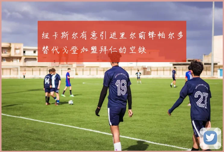 纽卡斯尔有意引进里尔前锋帕尔多替代戈登加盟拜仁的空缺